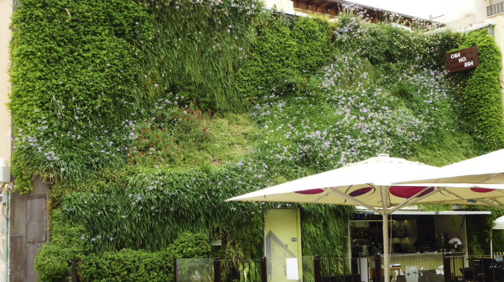 muro verde calahorra