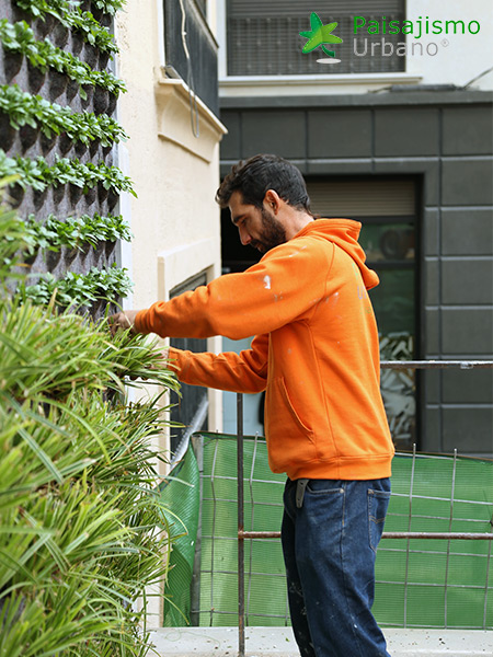 instalacion jardin vertical elche