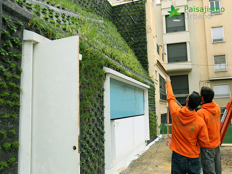 instalacion jardin vertical elche