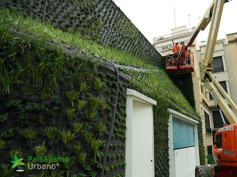 instalacion jardin vertical elche