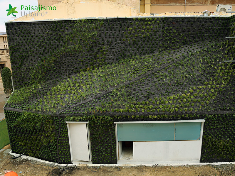 azotea verde en la calahorra elche