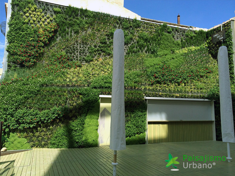 azotea verde en la calahorra elche