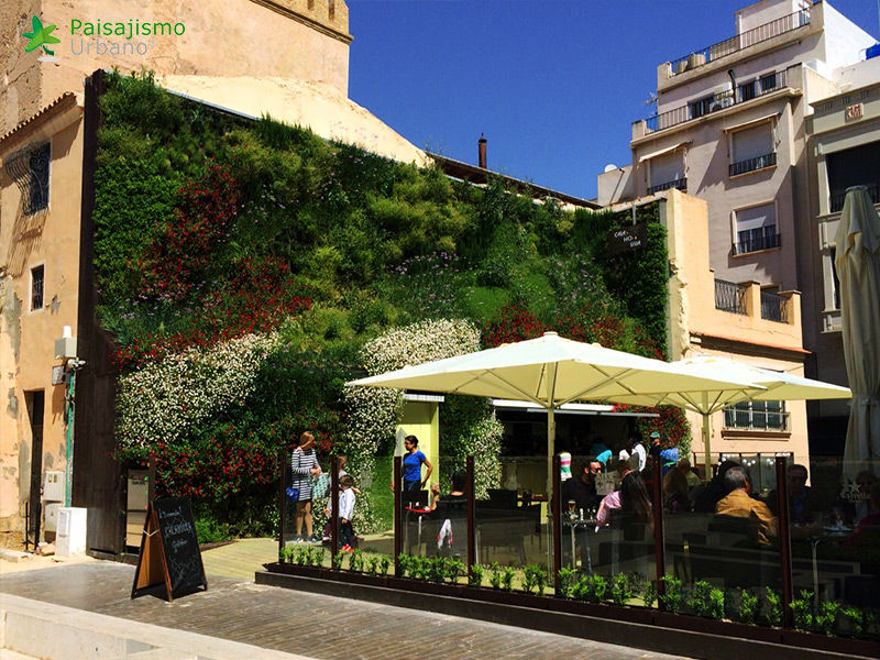 azotea verde en la calahorra elche
