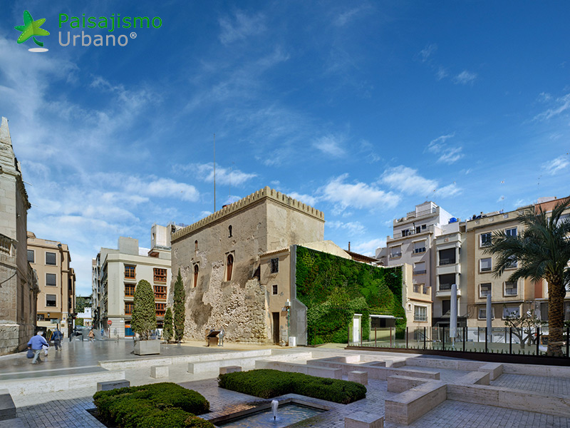 azotea verde en la calahorra elche