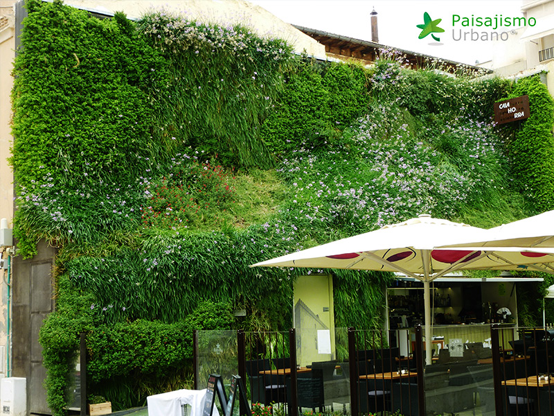 azotea verde en la calahorra elche