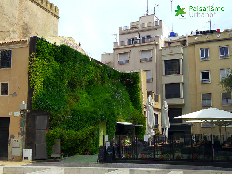 jardin vertical en la calahorra elche