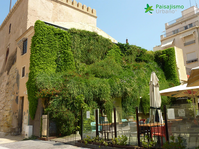 jardin vertical en la calahorra elche