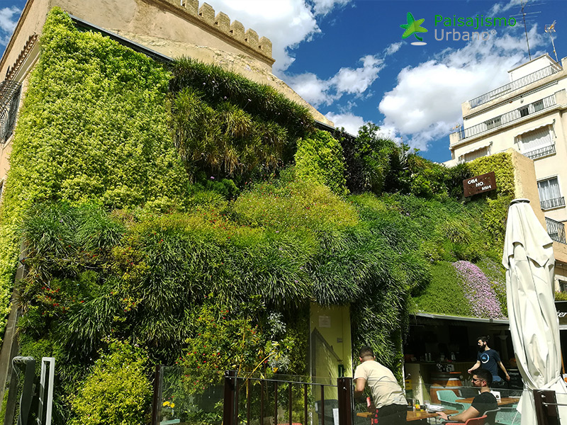 jardin vertical en la calahorra elche