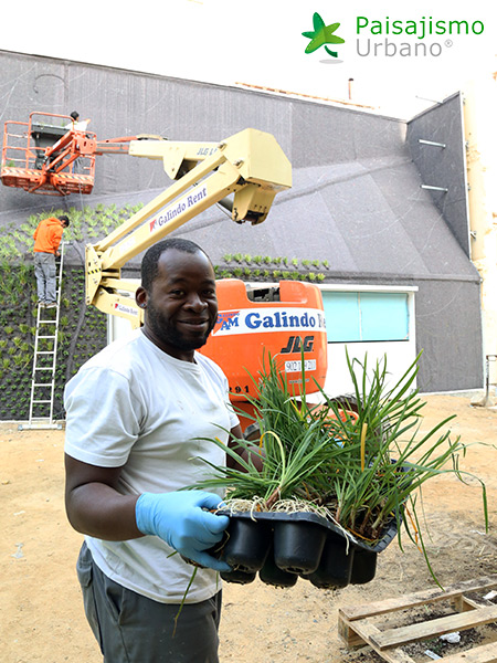 instalacion jardin vertical elche paisajismo urbano