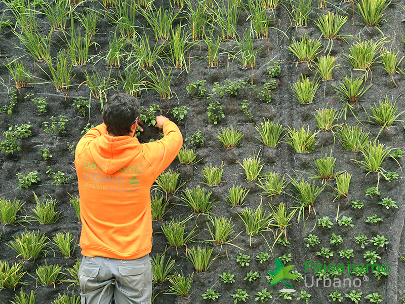 instalacion jardin vertical elche
