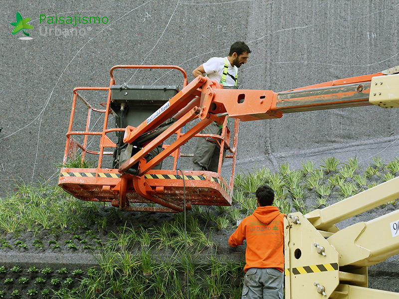 instalacion jardin vertical elche