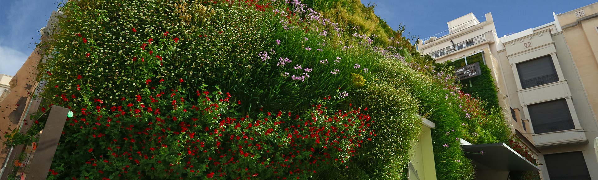 jardin vertical en la calahorra elche