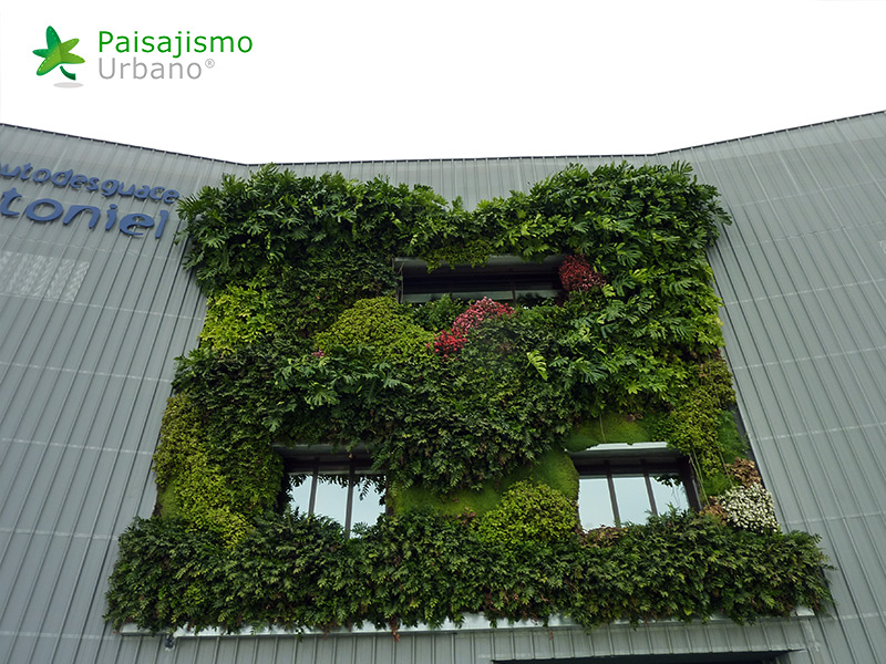 img jardin vertical desguaces otoniel alicante 18