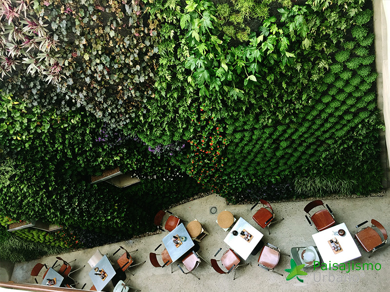 Jardín vertical Hotel Kook