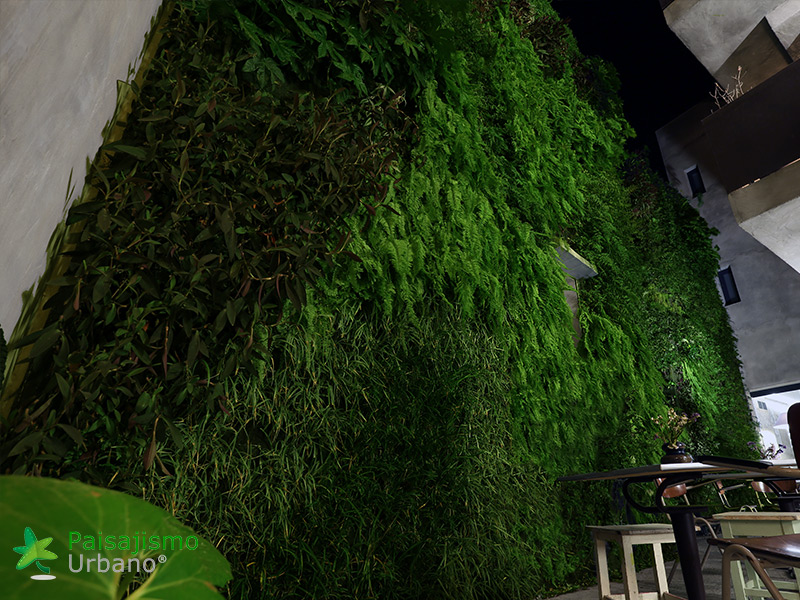 Jardín vertical Hotel Kook