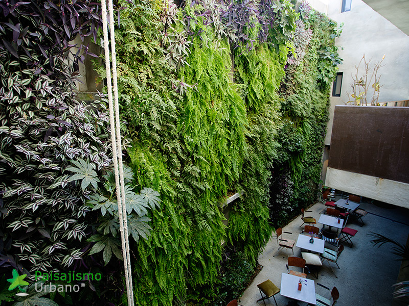 Jardín vertical Hotel Kook Tarifa
