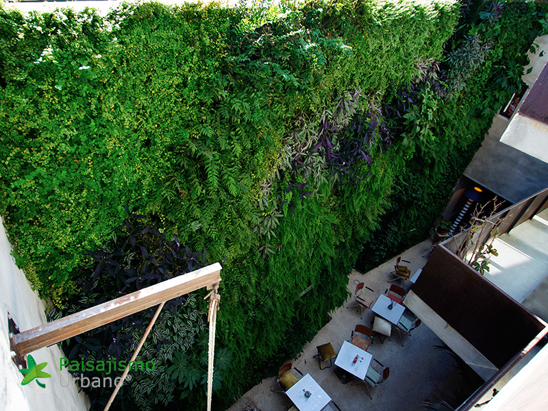 Jardín vertical Hotel Kook