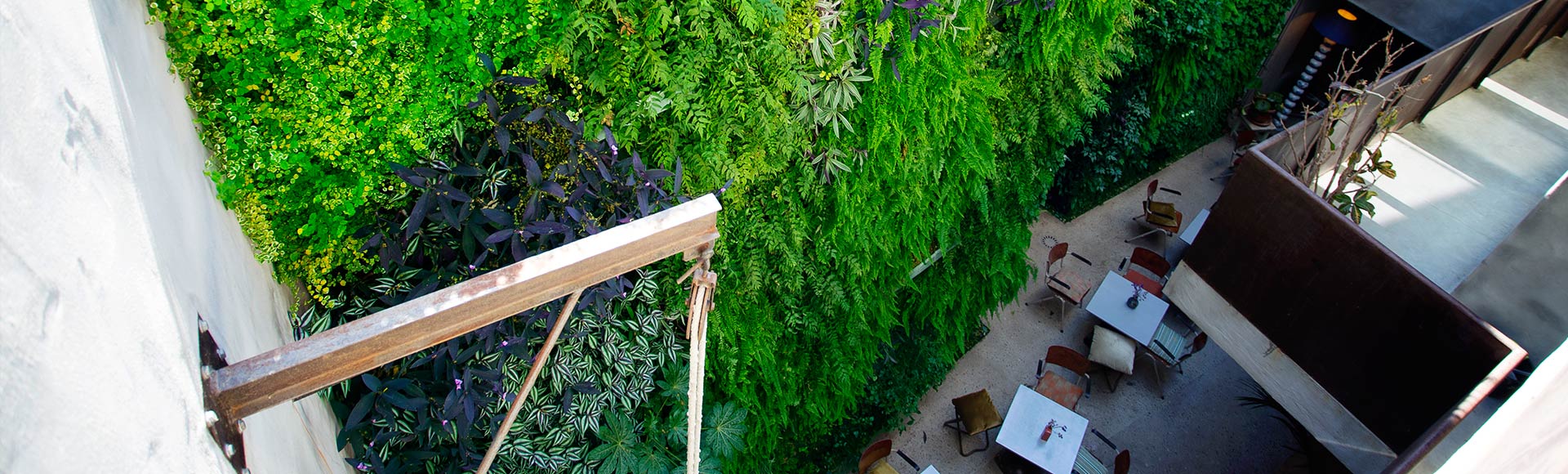 Jardín vertical Hotel Kook Tarifa