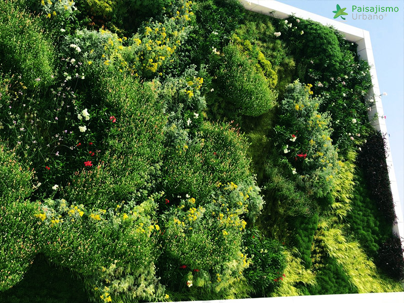 jardin vertical huesca