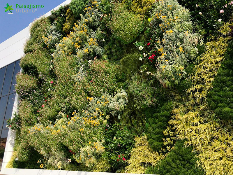 jardin vertical huesca