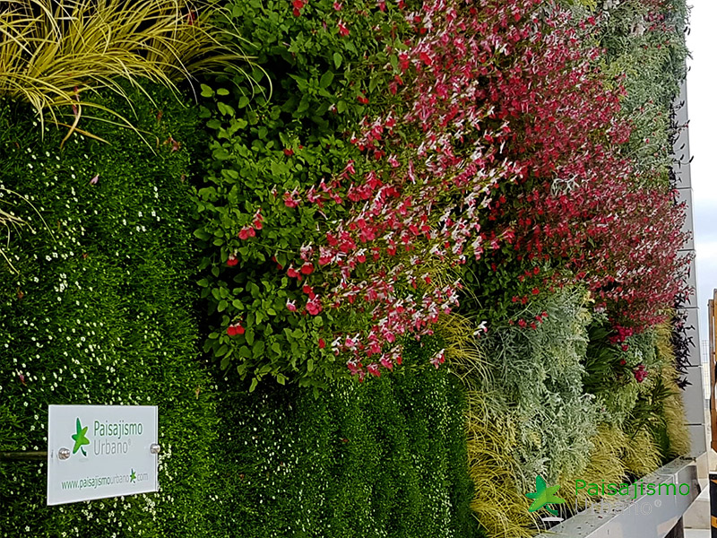 Jardín vertical Fraga huesca
