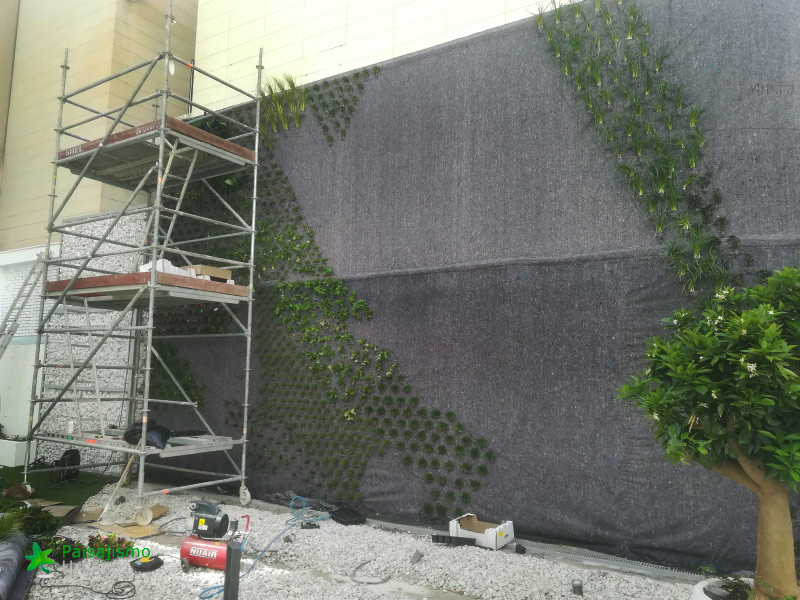 jardin vertical alicante