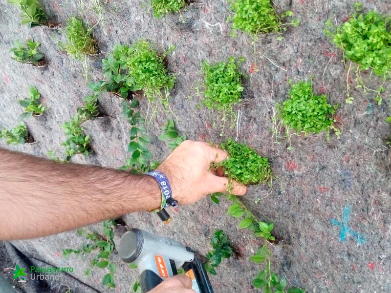 jardin vertical alicante