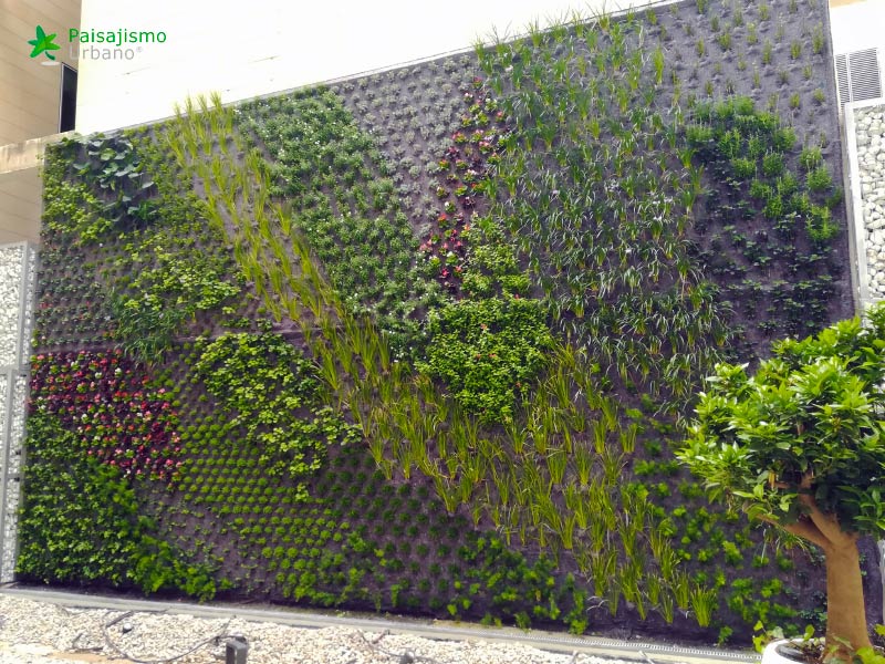 plantación jardin vertical alicante