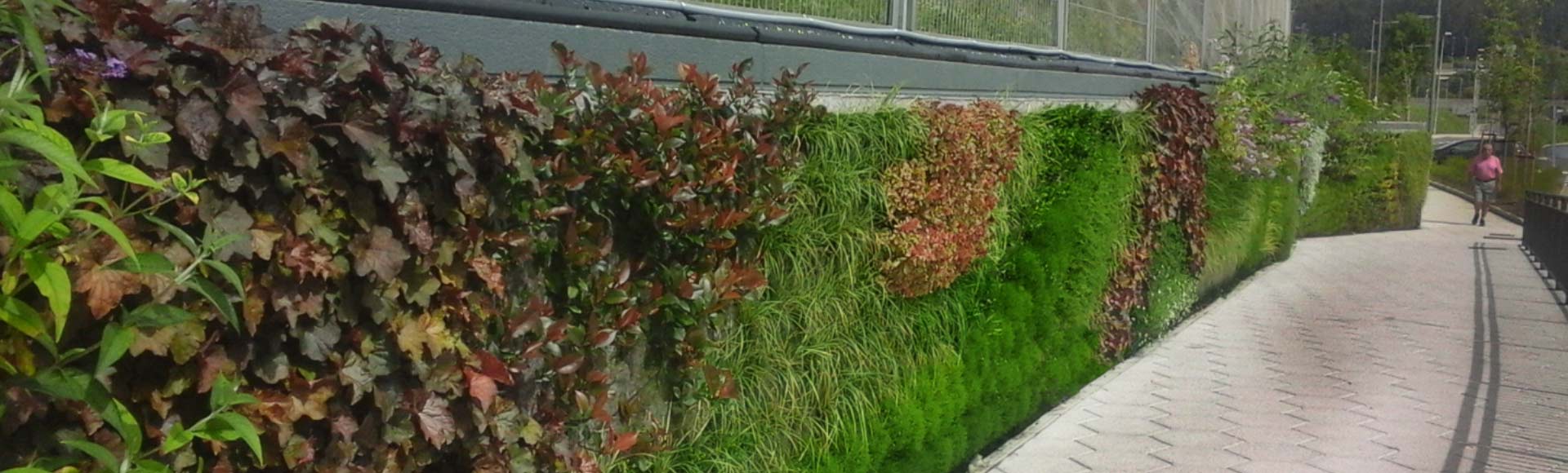 jardin vertical berango bizkaia