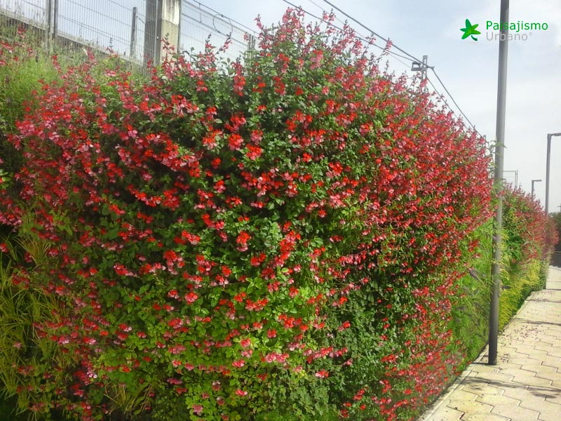 jardin vertical bizkaia