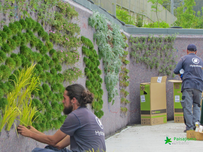 jardin vertical berango bizkaia