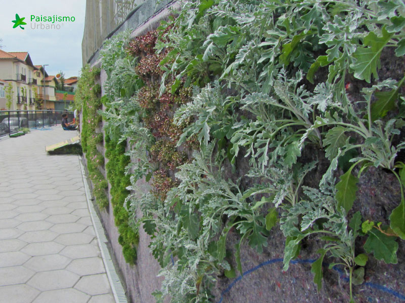 jardin vertical berango bizkaia