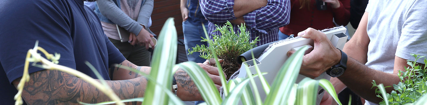 cabecera-cursos2 curso jardines verticales