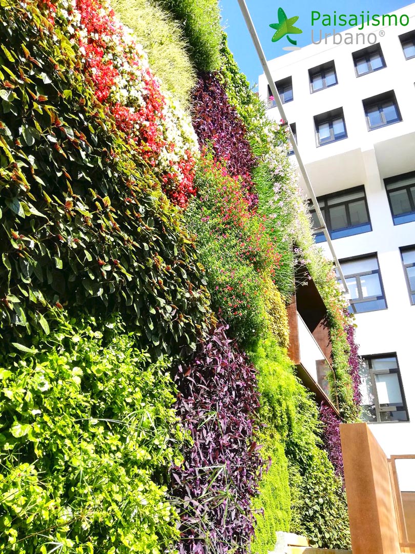 jardin vertical ignacio solano
