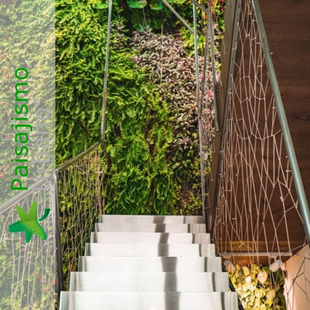 Jardín Vertical en Calzados Garzón en Elche