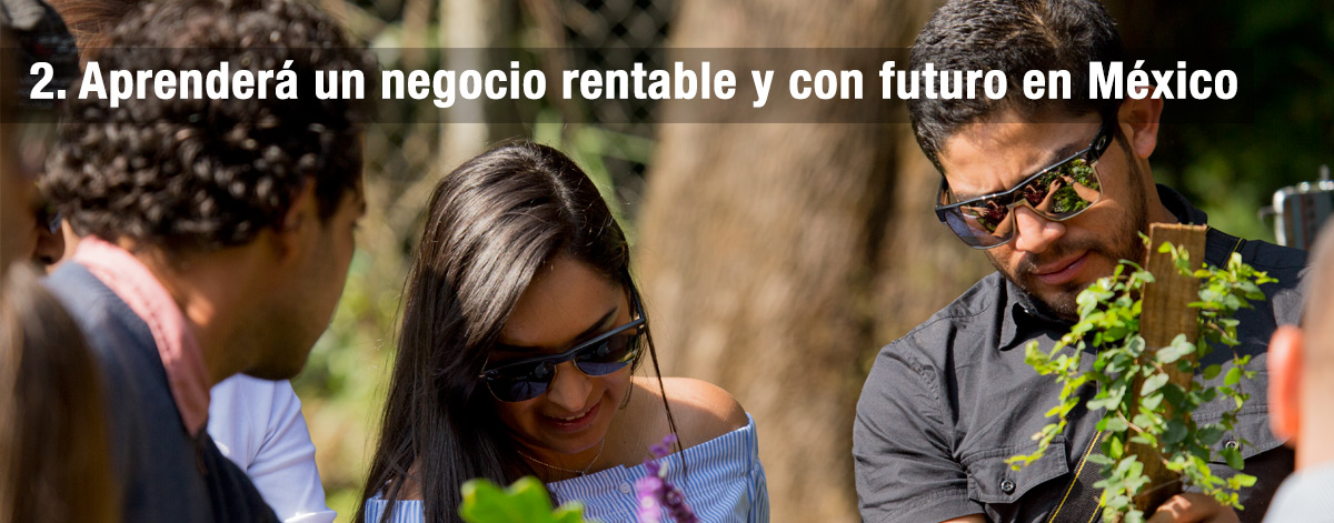 Negocio rentable en Jardines Verticales