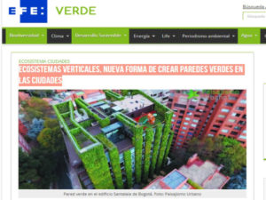 ecosistemas verticales
