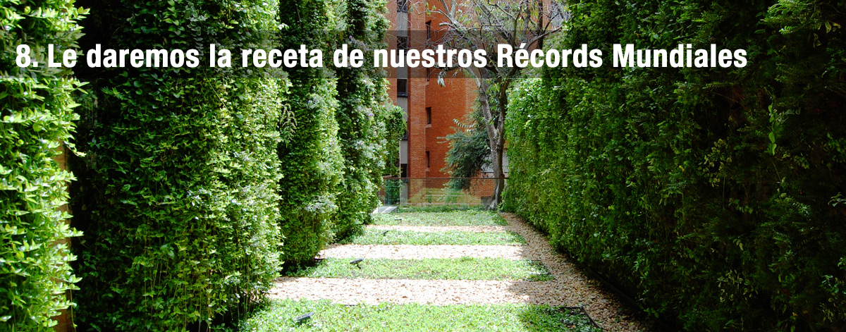 Récords Mundiales en Jardines Verticales