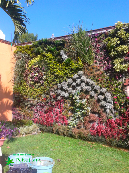 colaboradores paisajismo urbano