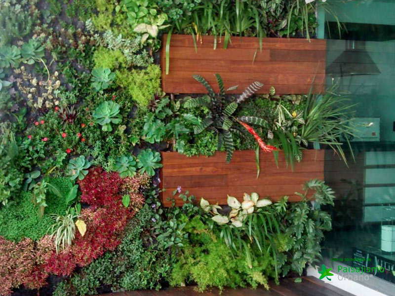 colaboradores paisajismo urbano