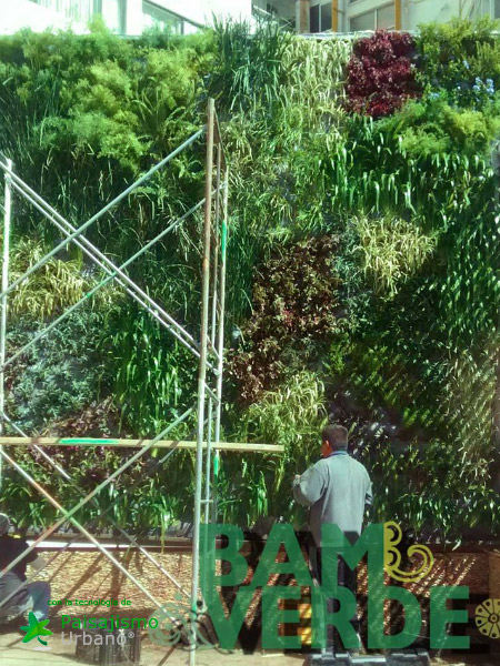 colaboradores paisajismo urbano