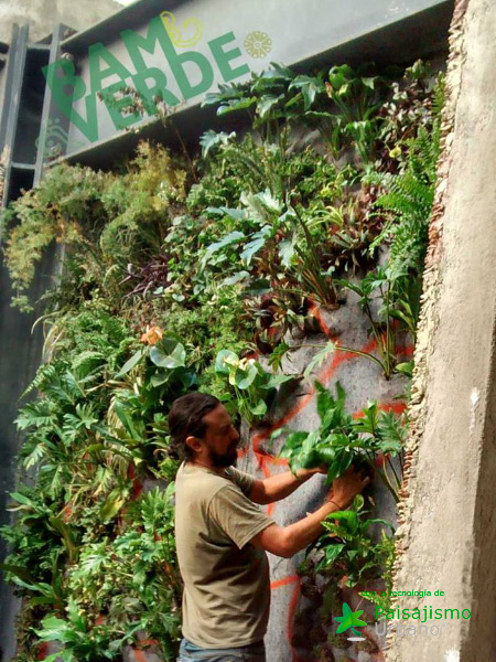 jardin vertical hecho con el sistema de paisajismo urbano