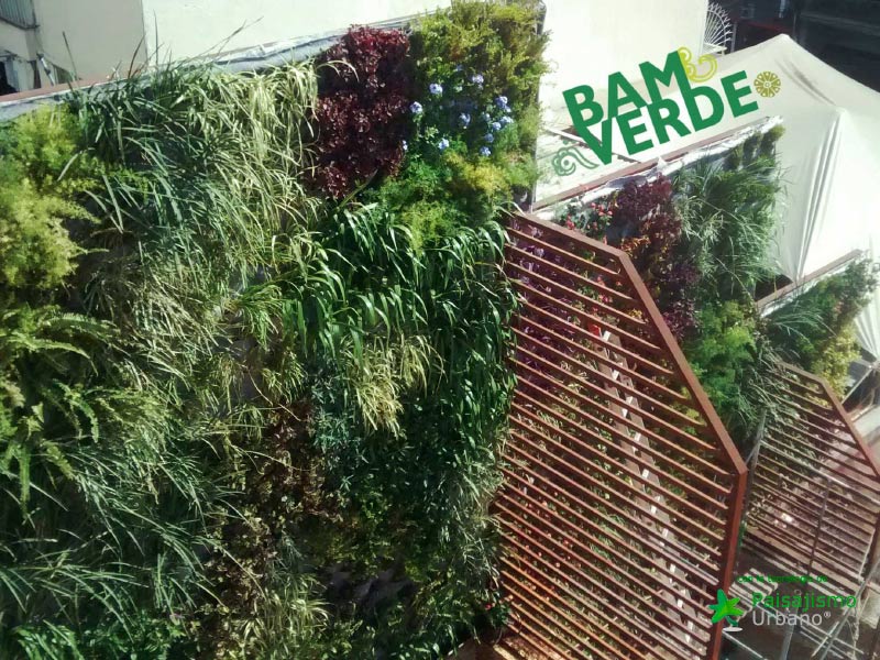 jardin vertical hecho con el sistema de paisajismo urbano