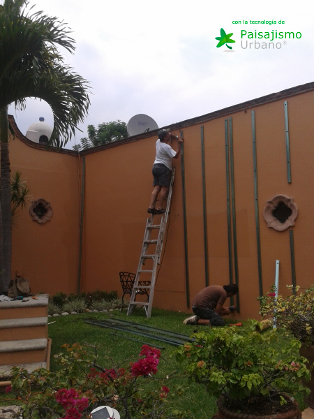 instalación jardín vertical