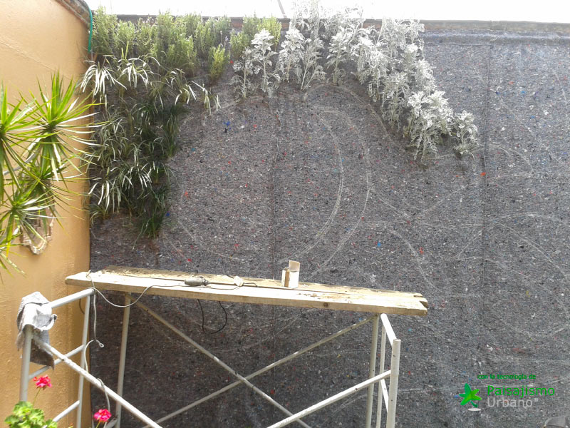colaboradores paisajismo urbano