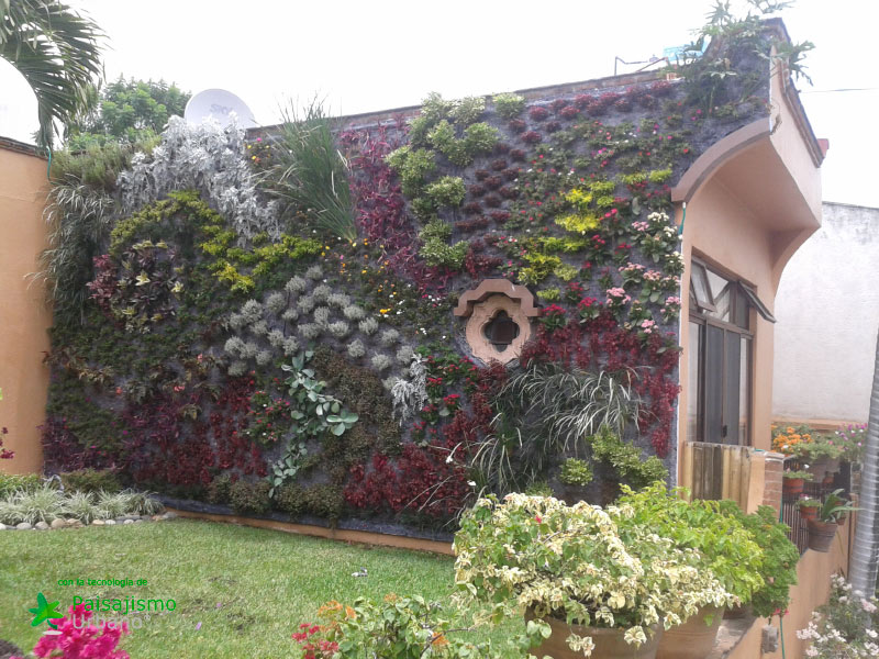 colaboradores paisajismo urbano