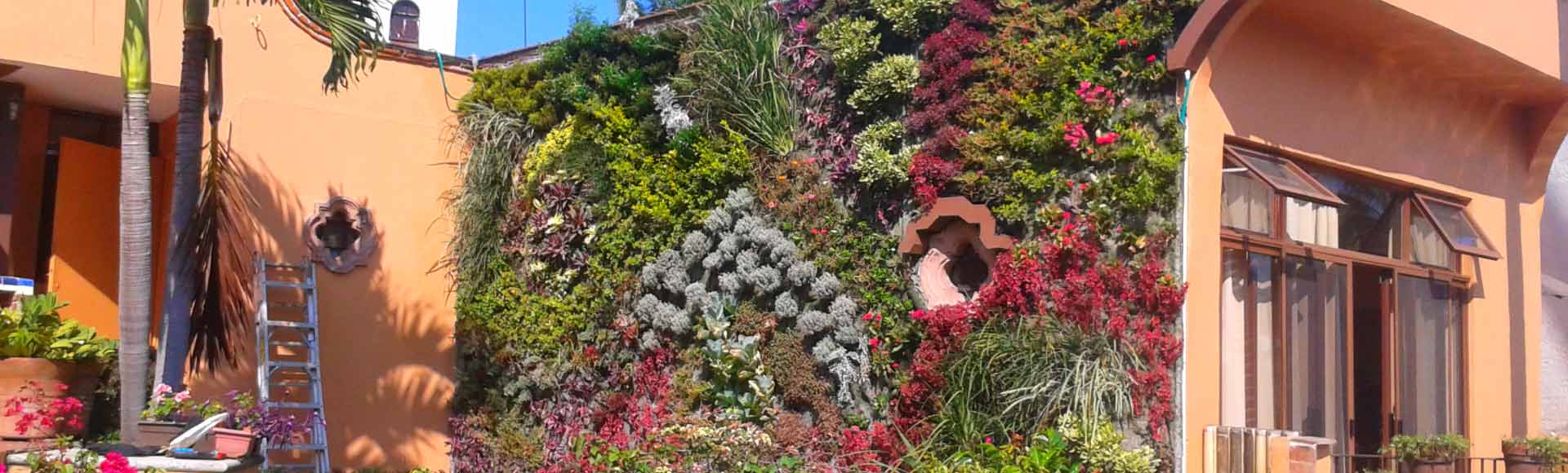 jardin vertical hecho con el sistema de paisajismo urbano