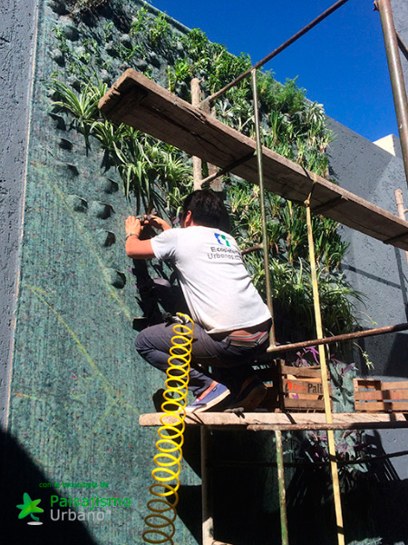 Jardines verticales en Argentina - Federico Pandolfi 4 Paisajismo Urbano FedericoPandolfi11