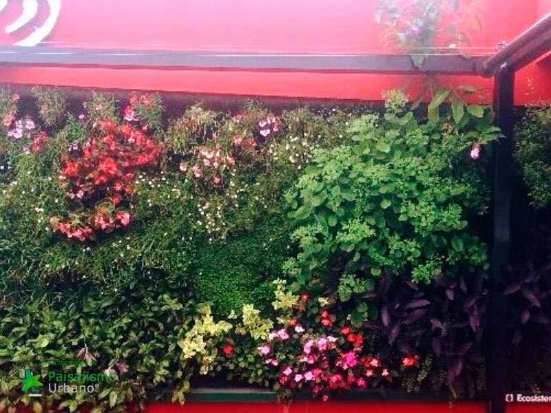 Jardines verticales en Argentina - Federico Pandolfi 10 Paisajismo Urbano FedericoPandolfi5