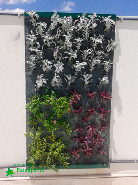 Jardines verticales en Argentina - Federico Pandolfi 6 Paisajismo Urbano FedericoPandolfi8